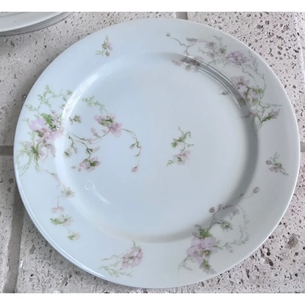 Vintage GDA CH Field Haviland Limoges France Floral Dinner Plates & Serving Dish
